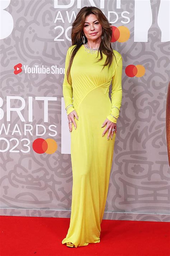 Shania Twain Reveals If She Met Brad Pitt After Singing About Him – Hollywood Life