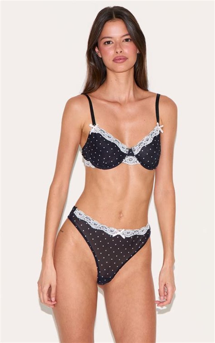 Shanna Moakler Stunned In Polka Dot Lingerie In A New Photo – Hollywood Life