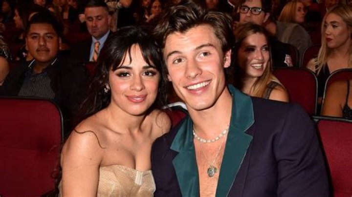 Shawn Mendes & Camila Cabello Pictured Together For The 1st Time In 5 Months During LA Stroll