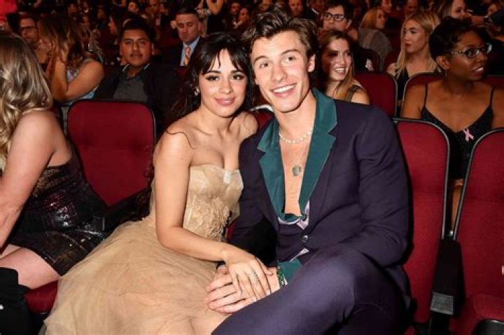 Shawn Mendes Shuts Down Camila Cabello Dating Rumors After Appearing Flirty On July 4th – Watch