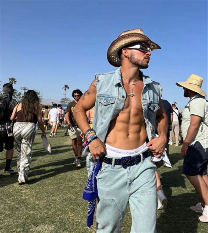 Shorts At Coachella: PICS Of Stars In Denim