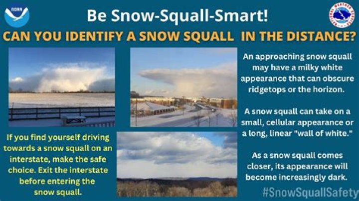 Snow Squall 2019 — PICS