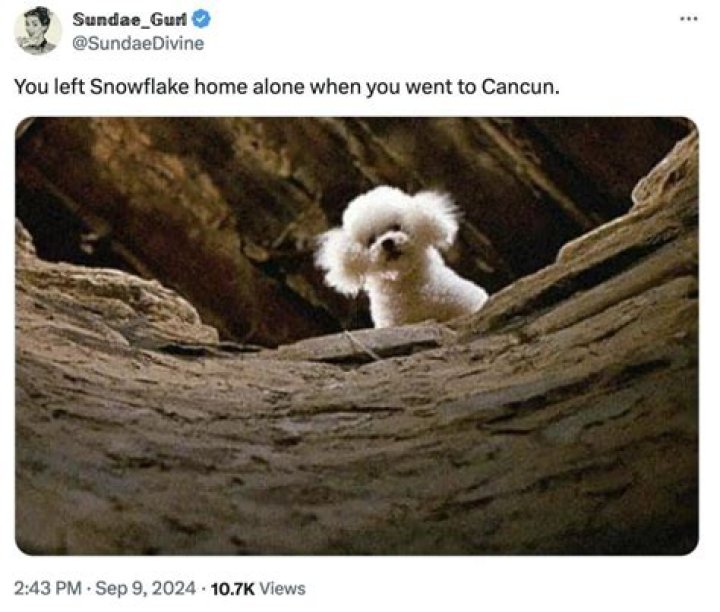 Ted Cruz Reportedly Left Dog Snowflake Home In ‘Freezing’ Home While Family Went To Cancun