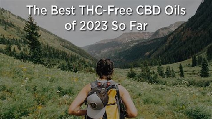 The Best THC-Free CBD Oils of 2023 So Far – Hollywood Life