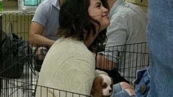 Selena Gomez & The Weeknd Cuddle Puppies In NYC – Will They Adopt One Together?
