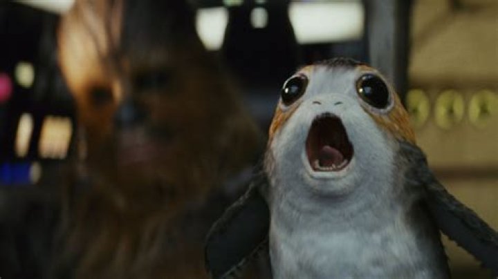 What Is A Porg? 5 Things About The Cute ‘Star Wars’ Creature – Hollywood Life