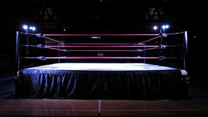 Stevie Lee: 5 Things To Know About Wrestler & ‘Jackass’ Star Who Has Sadly Died At 54