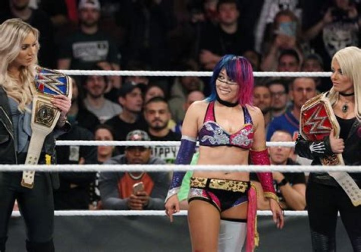 See Pics Of The WWE Super Star Who Suffered A Nip Slip – Hollywood Life