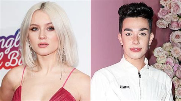 Zara Larsson Accuses James Charles Of Direct Messaging Her Boyfriend – Hollywood Life