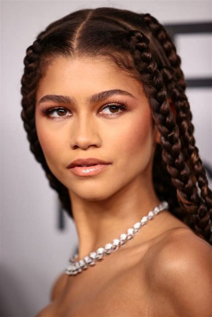 Zendaya Shows Off Her New Braids In Gorgeous Selfie – See Her Hair Makeover